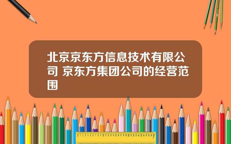 北京京东方信息技术有限公司 京东方集团公司的经营范围